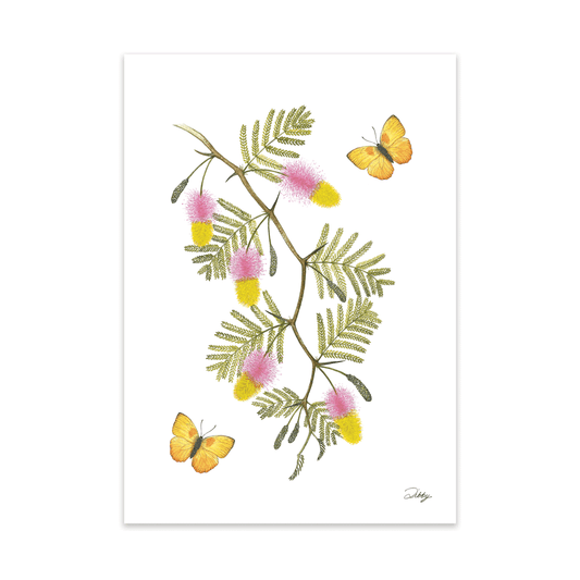 Sickle Bush Blossoms with yellow butterflies Print