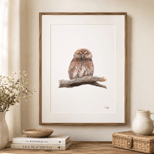 Pearl-Spotted Owl Print