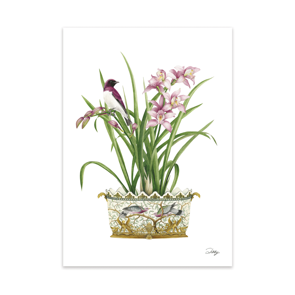 Orchids with Starling in Planter