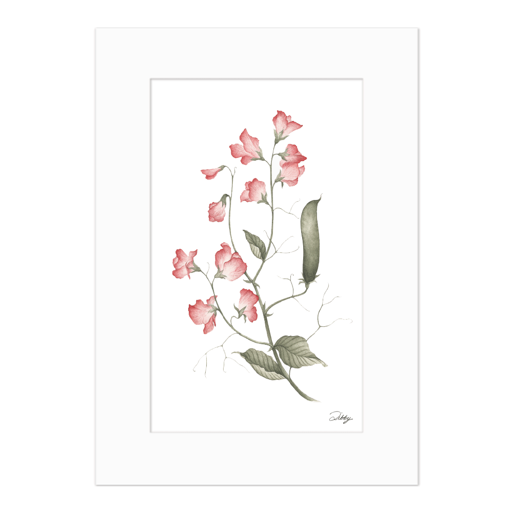 April - Sweet Pea "William and Catherine" Print
