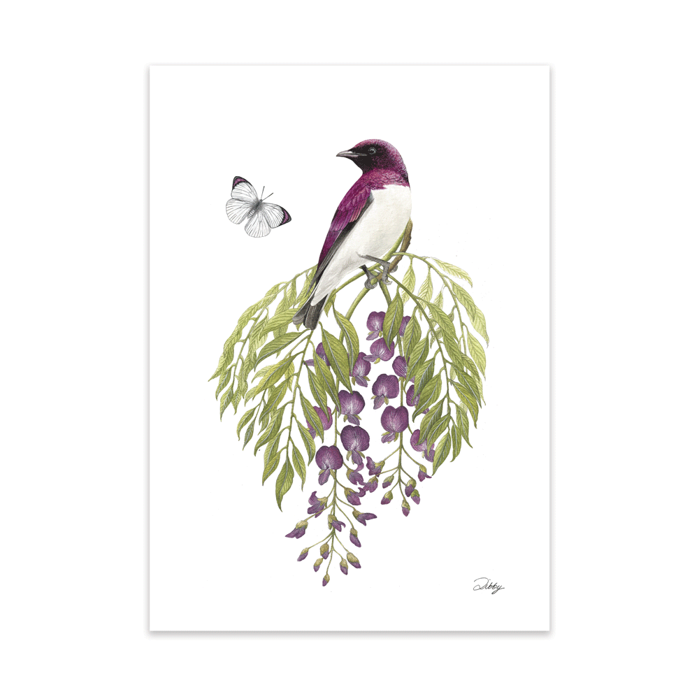 Tree Wisteria with Violet-Backed Starling and Bushveld Purple-tip butterfly Print
