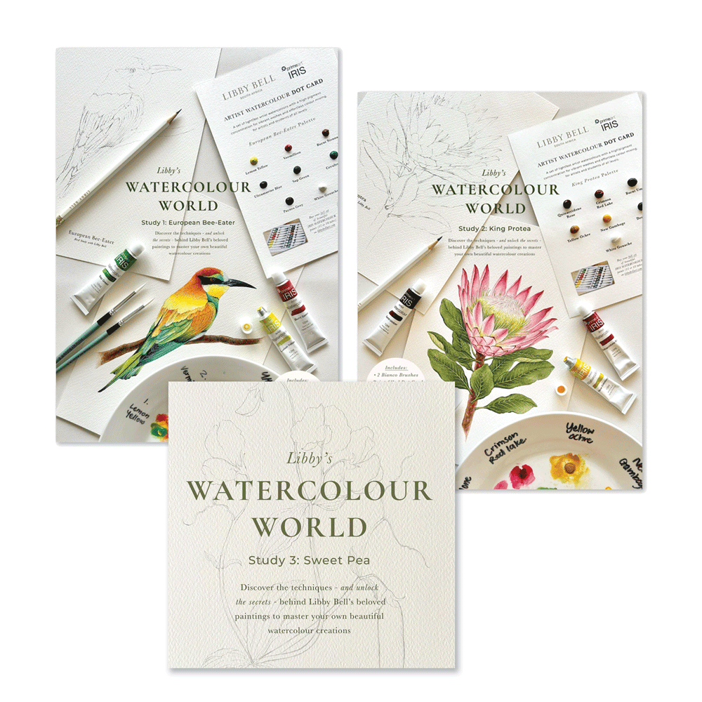 Watercolour Workshop Bundle - Set of 3 Studies