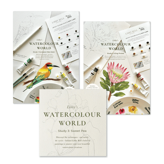 Watercolour Workshop Bundle - Set of 3 Studies