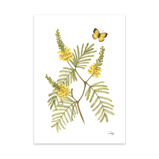 Weeping Wattle with Broad-Bordered Grass Yellow butterfly Print