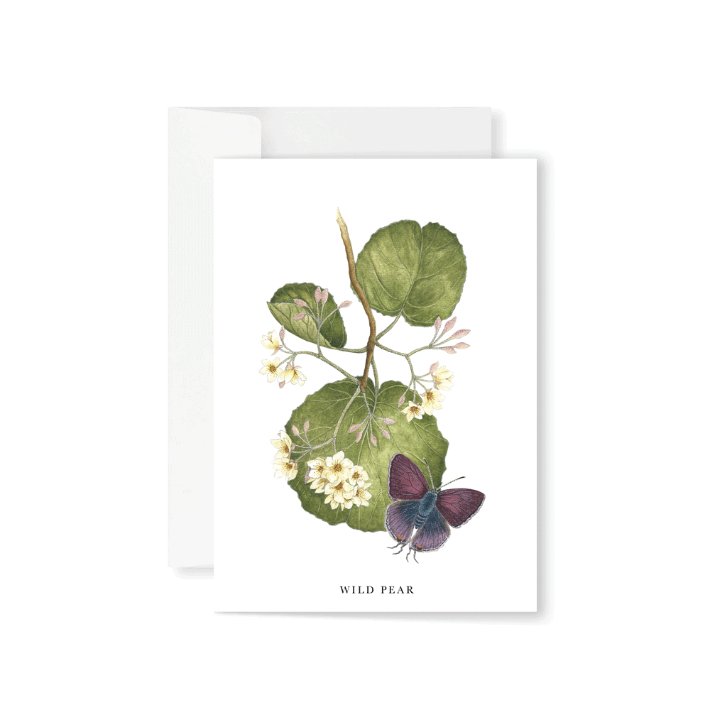 Wild Pear Greeting Card