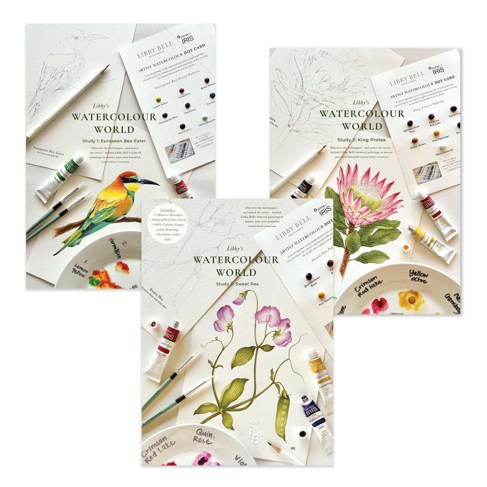 Watercolour Workshop Bundle - Set of 3 Studies