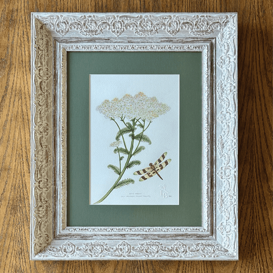 White Yarrow with Halloween Pennant Dragonfly  - Framed Original Painting
