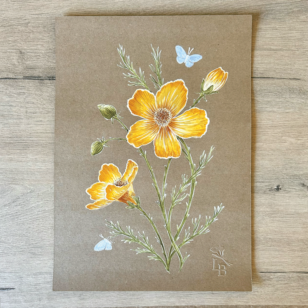 Yellow Poppies Study - Unframed Original Painting