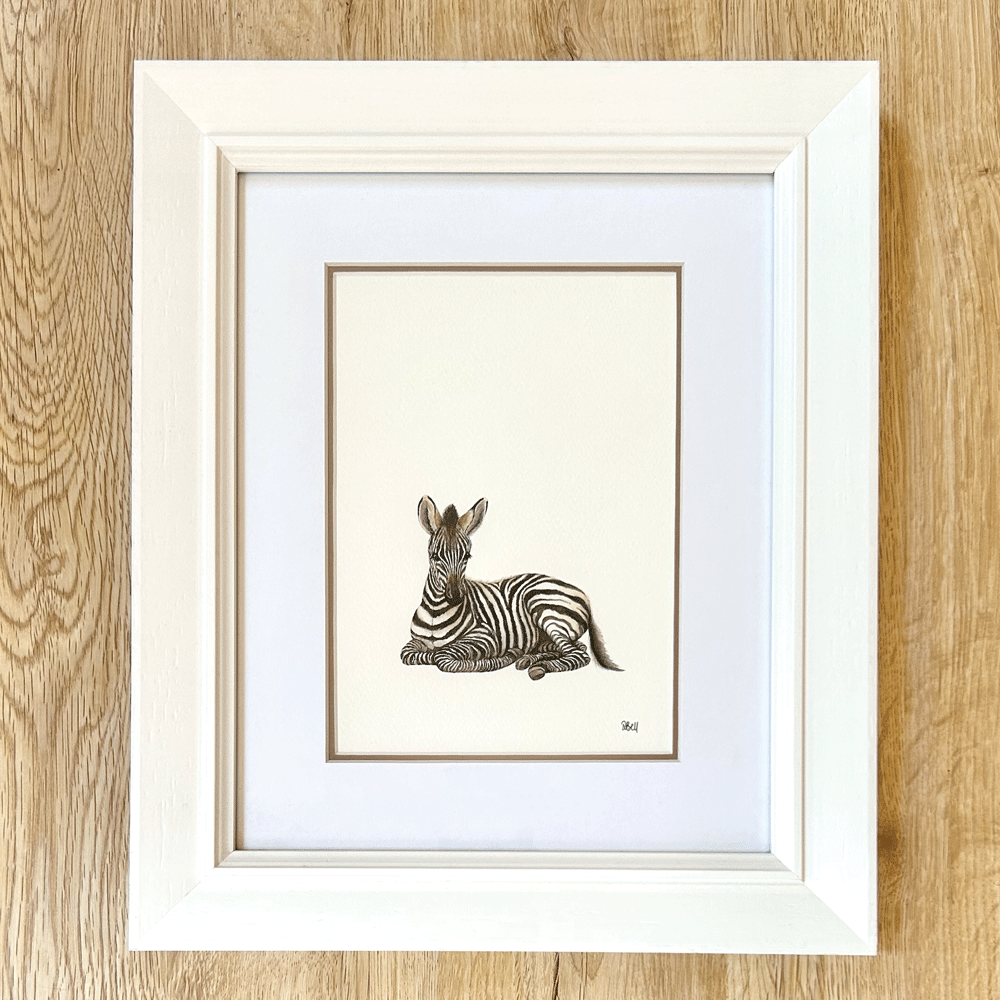 Safari Baby Zebra - Framed Original Painting