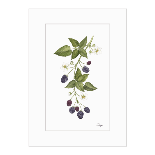 Sprig of Blackberries